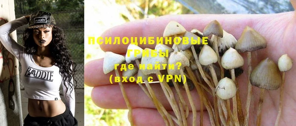 мескалин Лагань